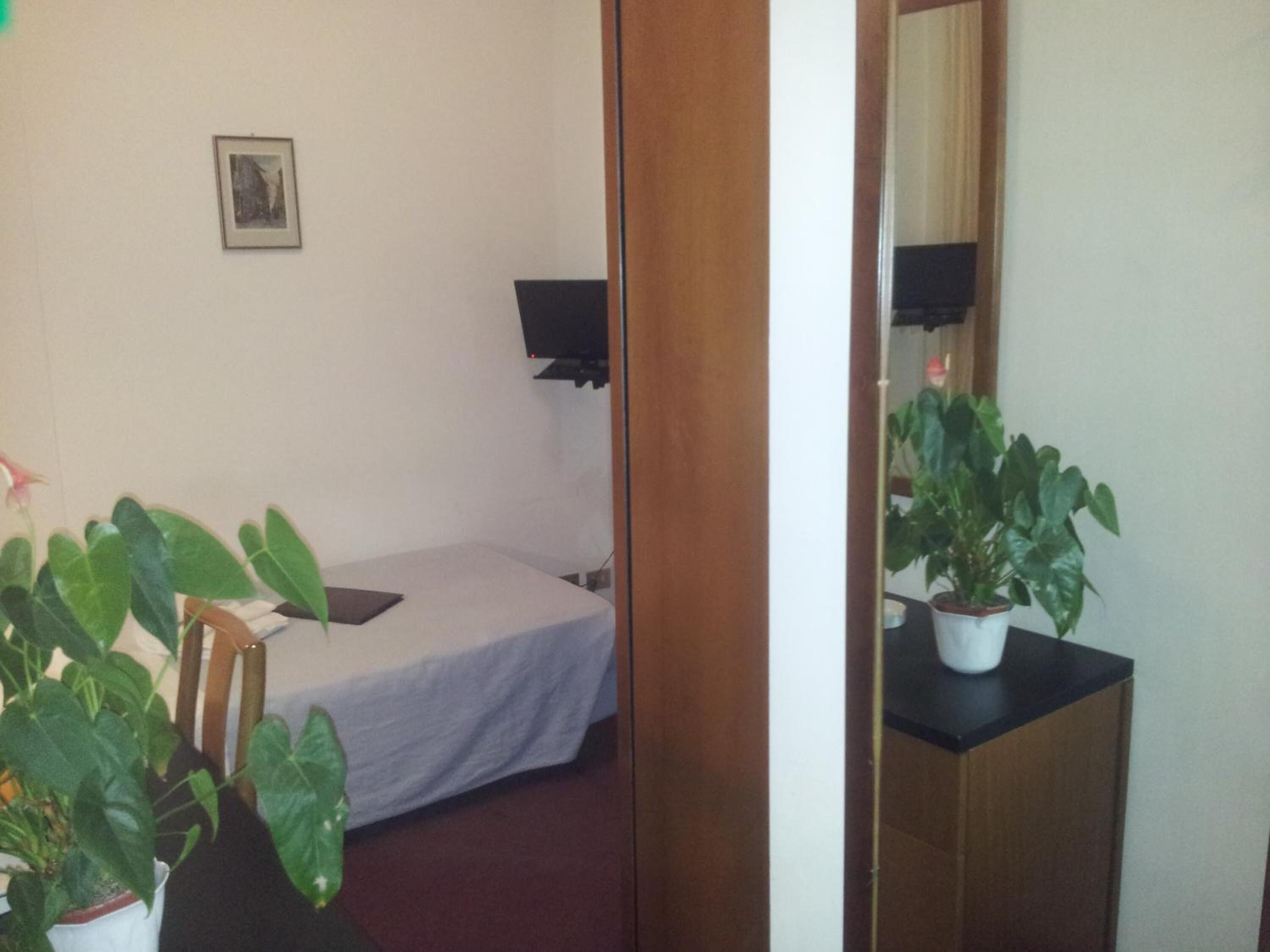 Una habitación pequeña y sencilla con cama, escritorio y dos plantas en macetas.