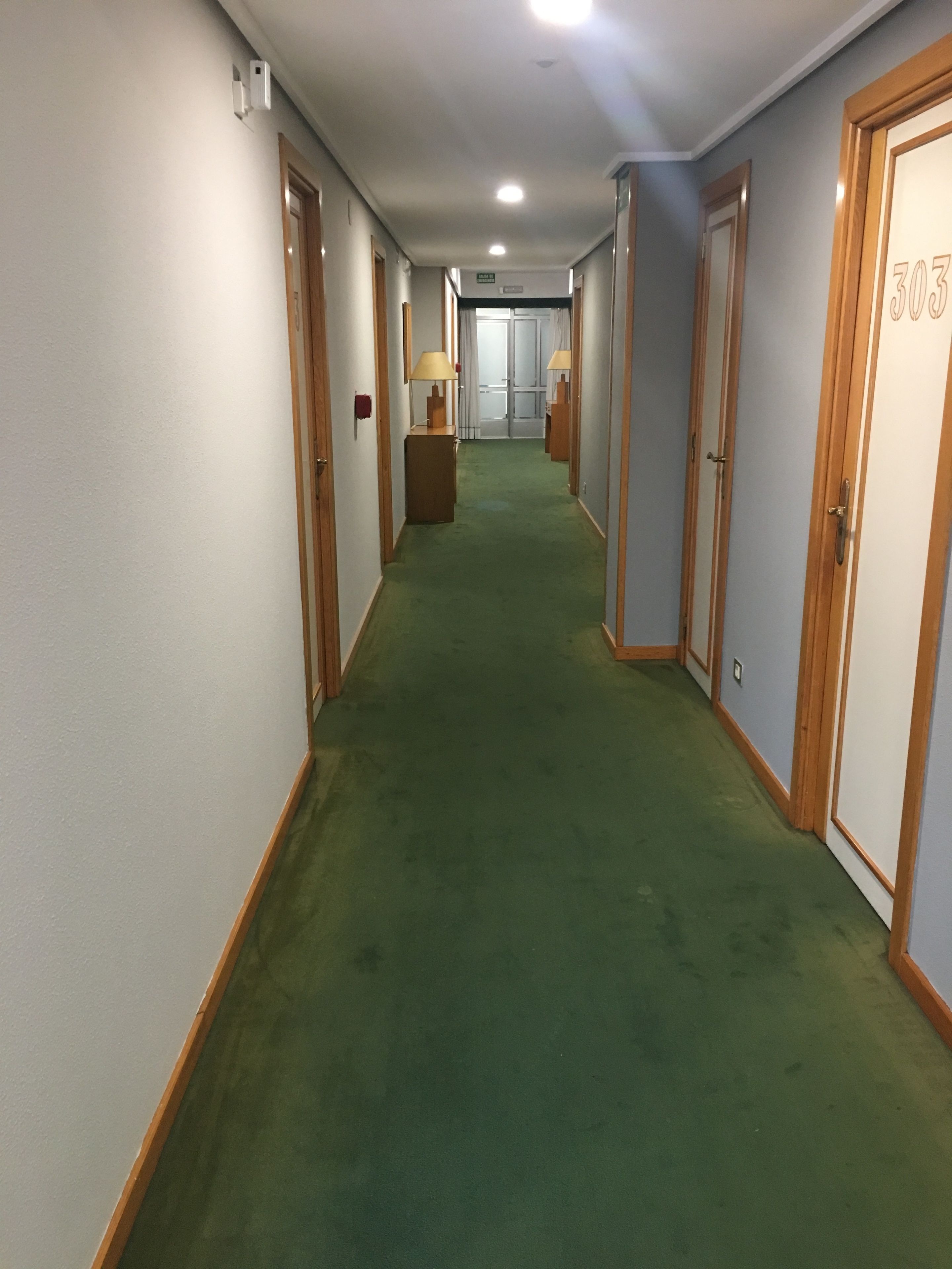A hallway with green carpet, wooden doors, and a number '303' on one door.