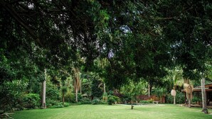 A lush, green garden with a variety of trees and shrubs, a well-maintained lawn, and a small building in the background. - York Lodge (Harare)