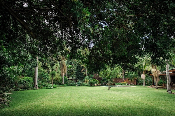 Jardín