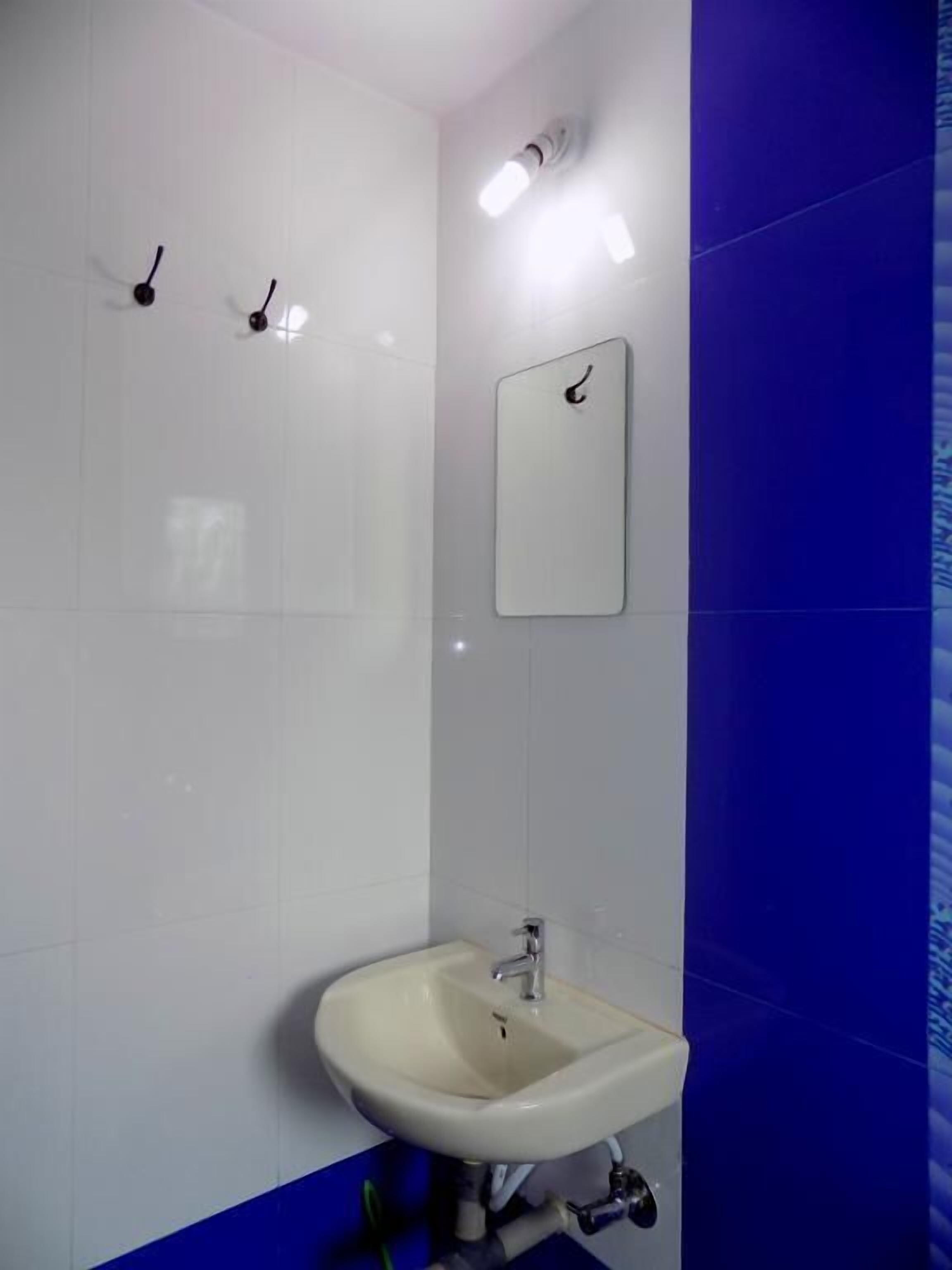 A bathroom with a white sink, a mirror, and a blue accent wall.