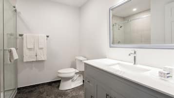 Un baño moderno con cabina de ducha de vidrio, inodoro blanco y tocador con espejo grande.