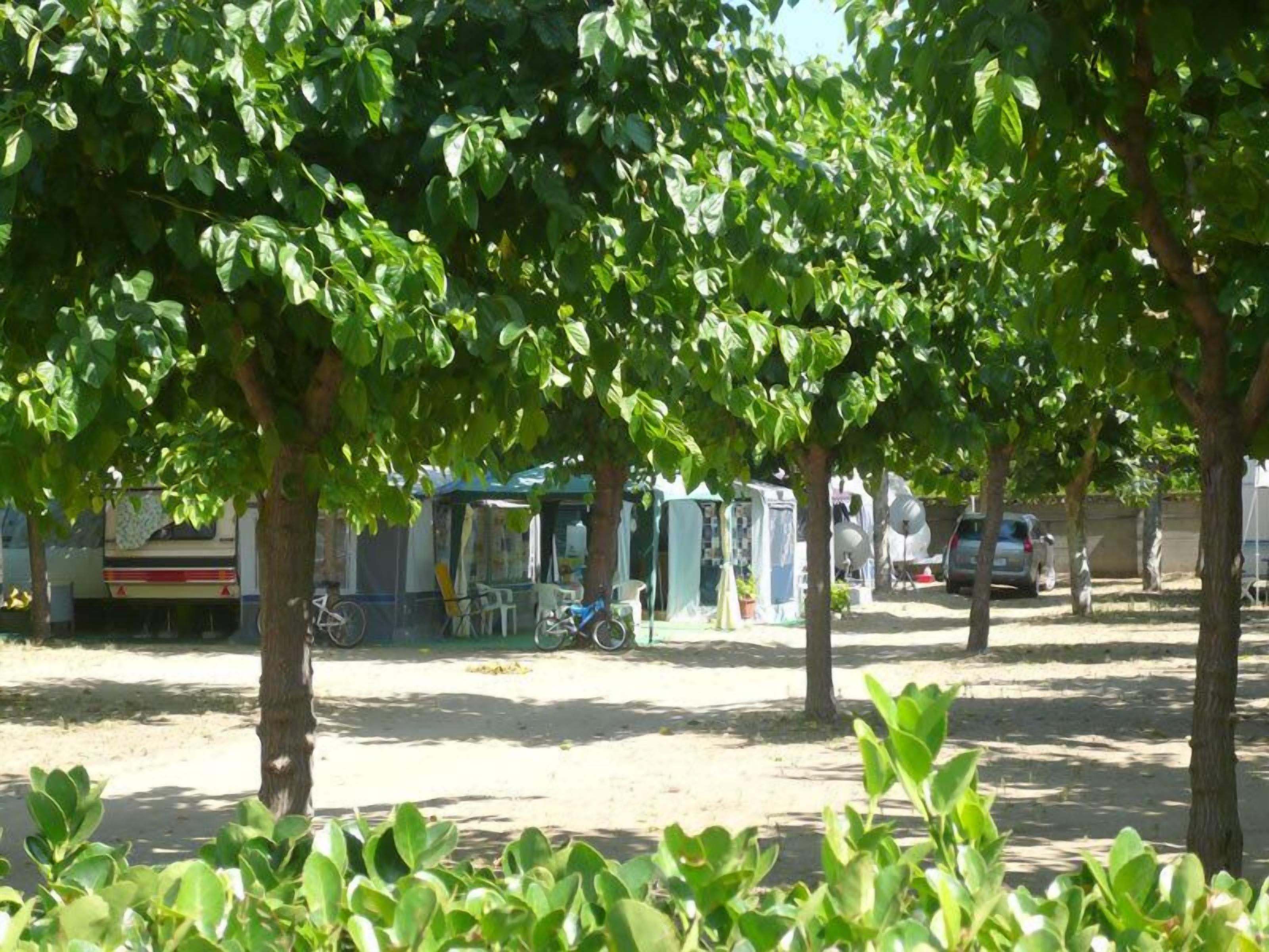 Un estacionamiento con árboles, bicicletas y un edificio con techo azul.