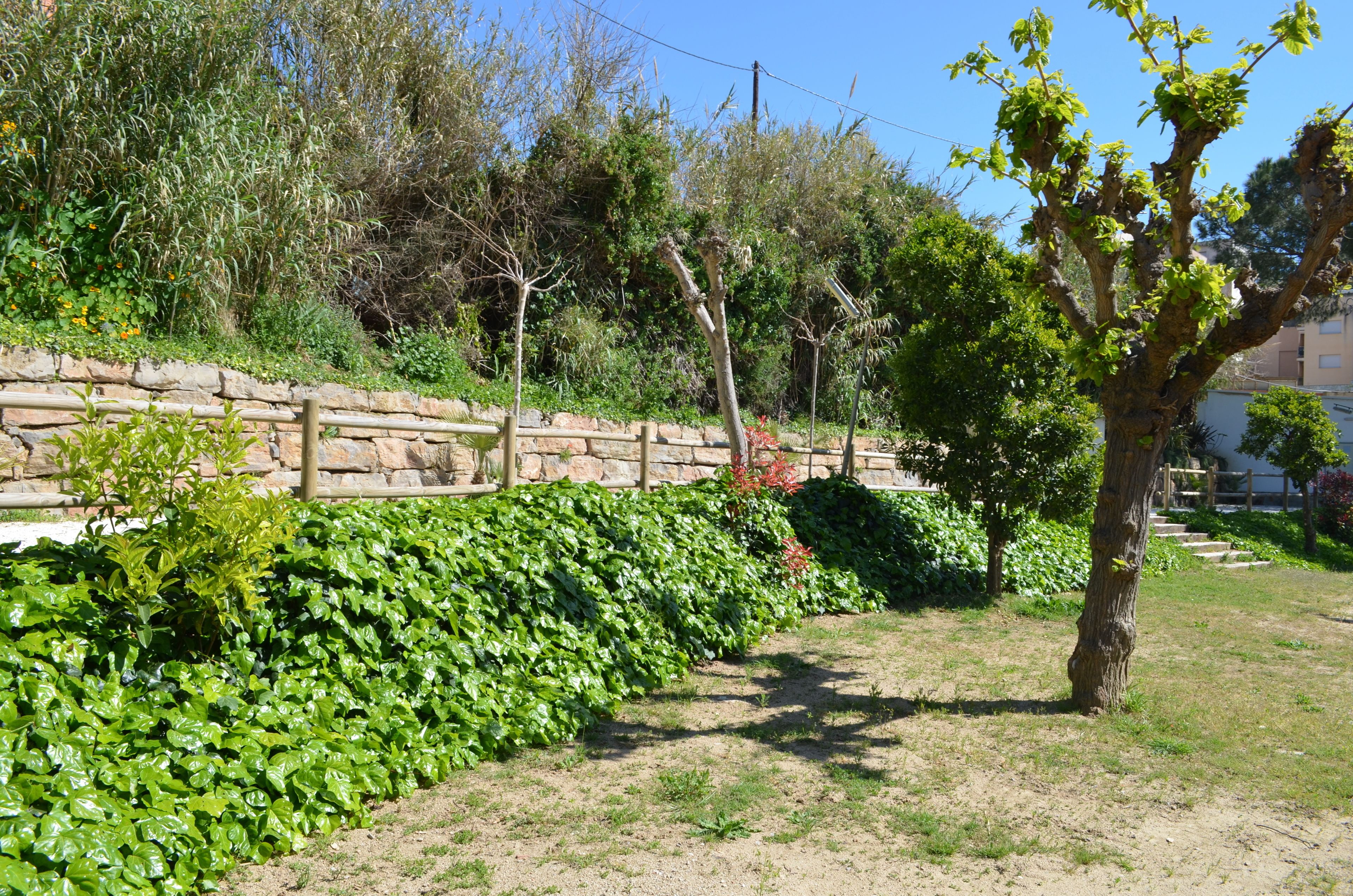 Jardín
