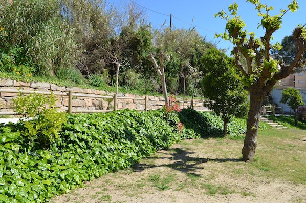 Ein angelegter Garten mit einer Steinmauer, verschiedenen Sträuchern und einem Baum.