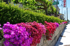 Àrea exterior de l'allotjament