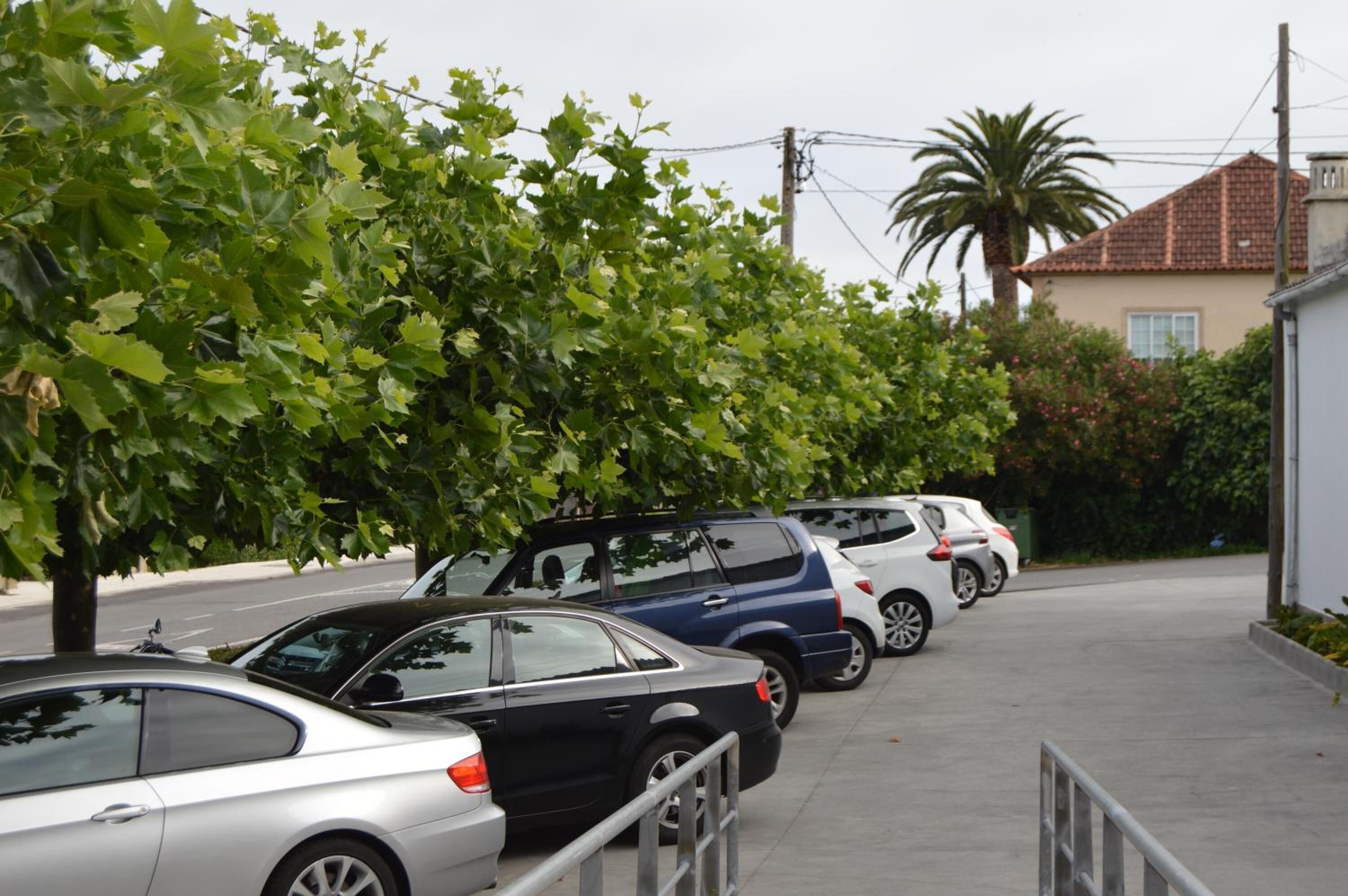 Parken ohne Service (kostenlos)