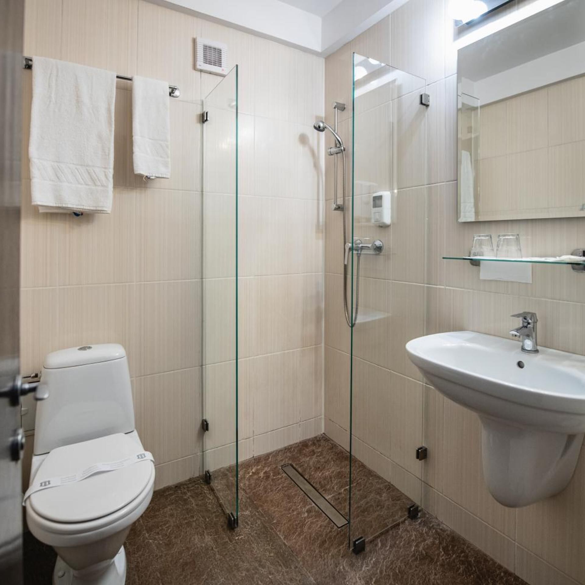 A bathroom with a toilet, a glass-enclosed shower, a sink, and a mirror.
