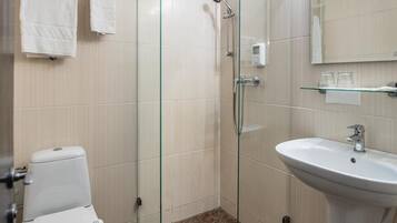A bathroom with a toilet, a glass-enclosed shower, a sink, and a mirror.