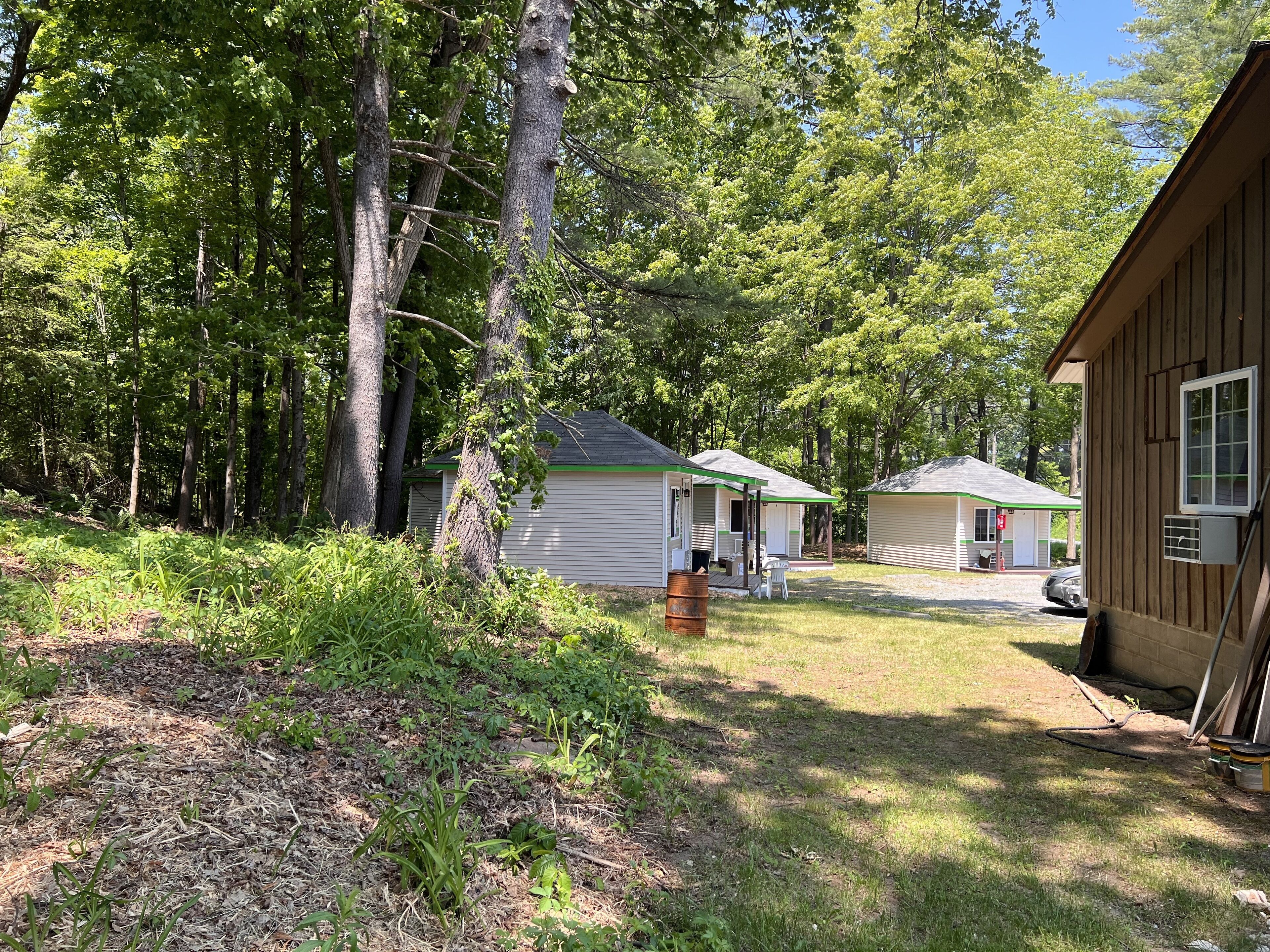 A campsite with two cabins, surrounded by dense trees.