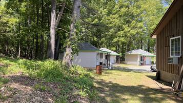 A campsite with two cabins, surrounded by dense trees.