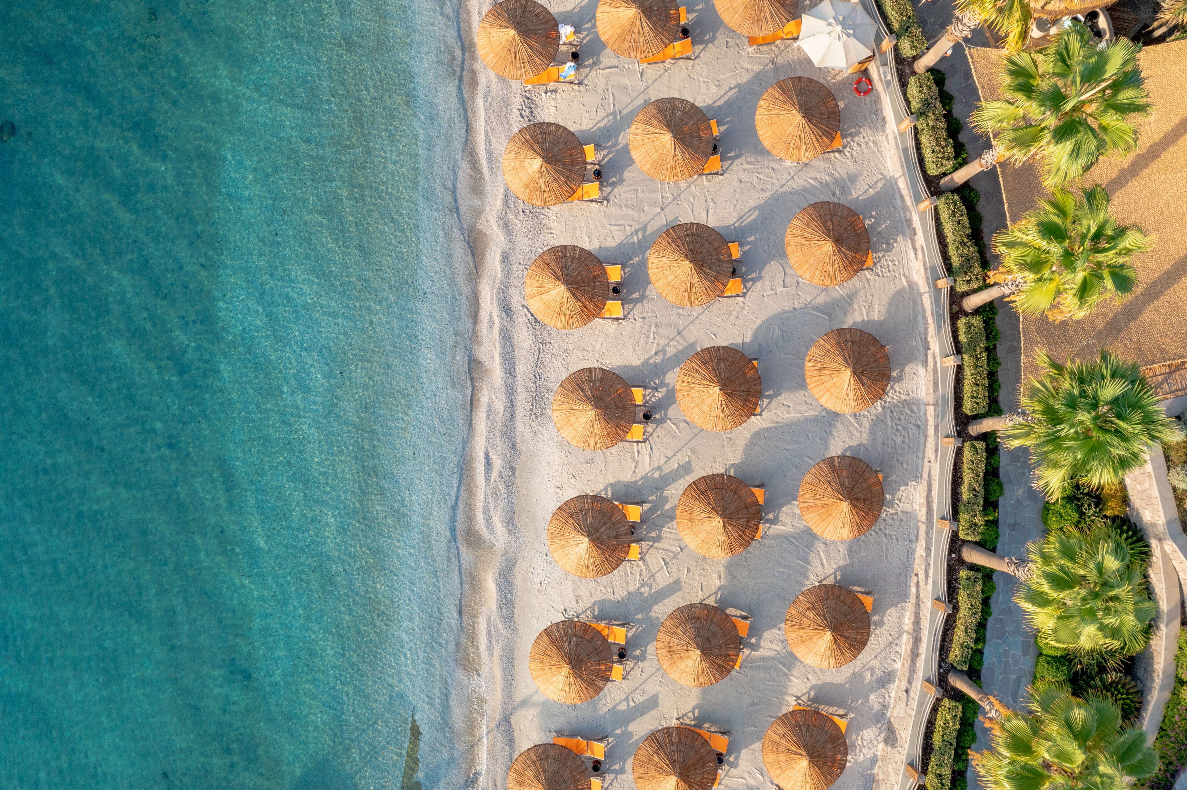An aerial view of a beach with rows of thatched umbrellas and palm trees.