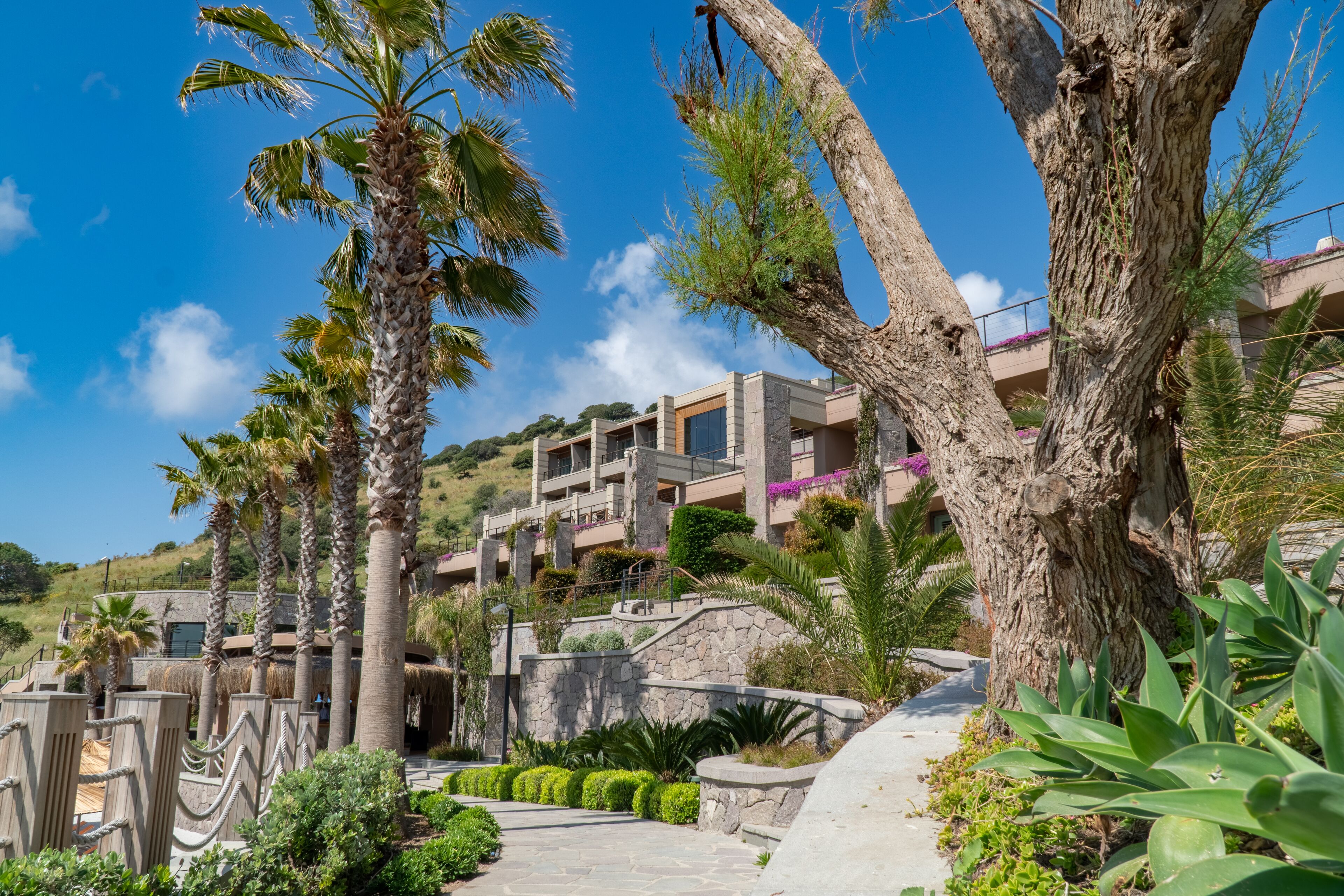 Un hôtel situé sur une colline, doté d’une architecture moderne, de sentiers en pierre et d’une végétation luxuriante.