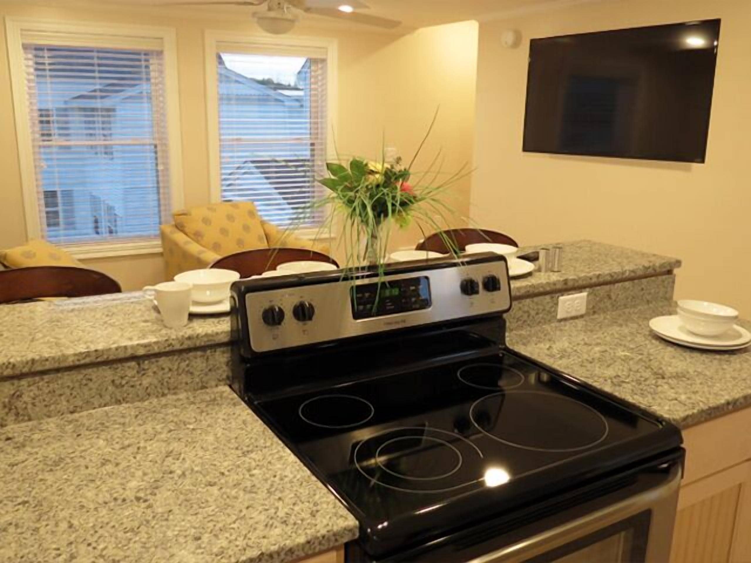 A kitchen with a black stove, granite countertops, and a plant on the stove.