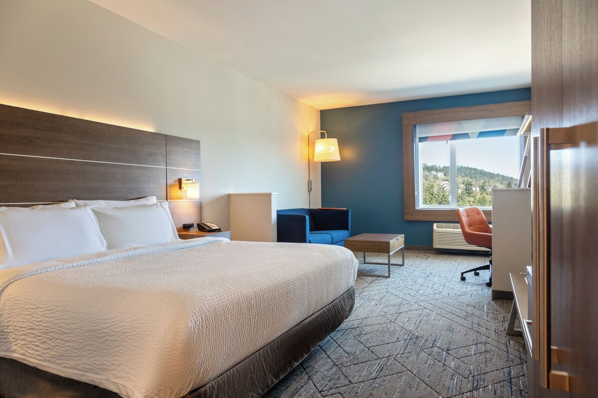 A hotel room with a large bed, a desk, a chair, and a view of the outdoors.