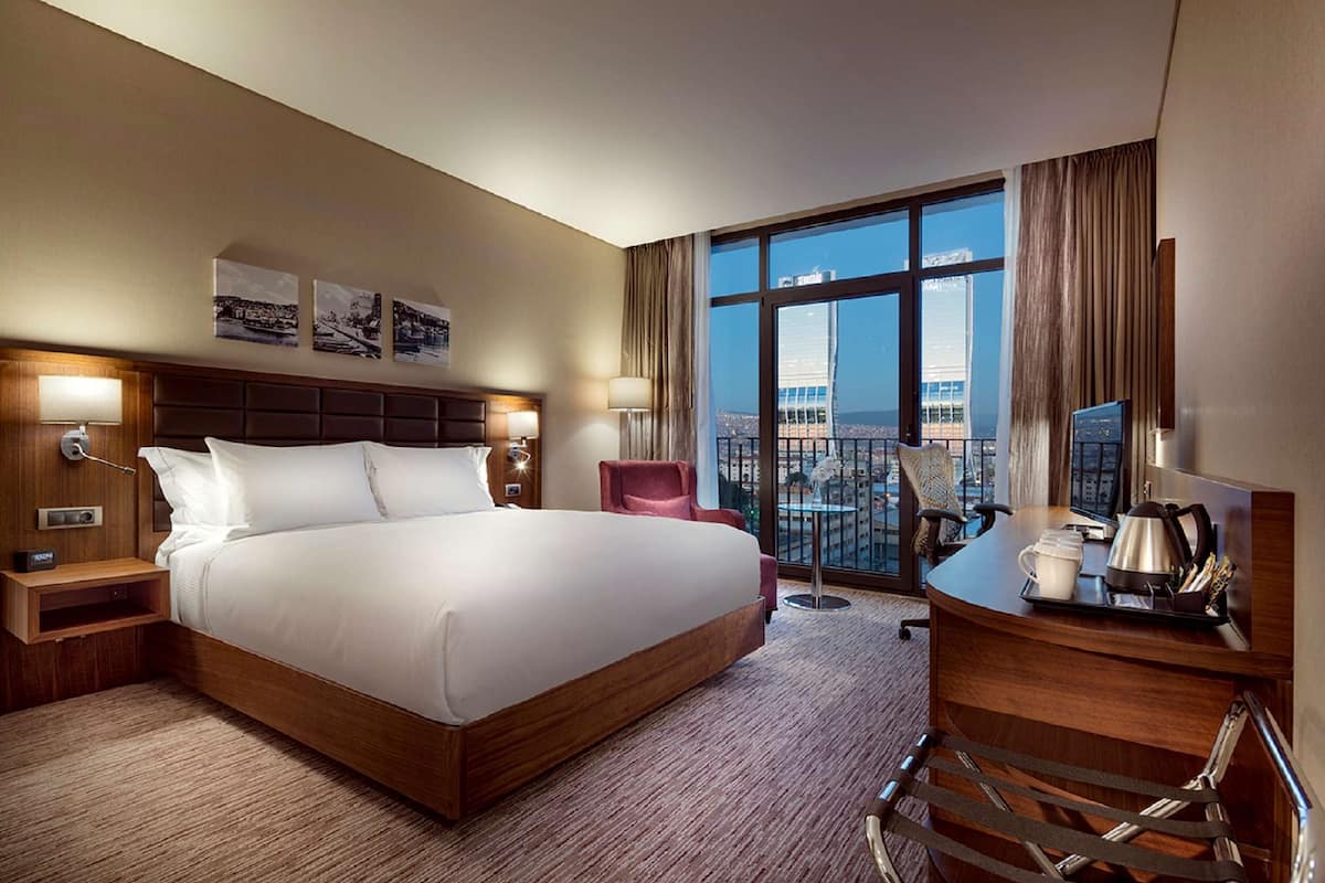 Room, 1 King Bed