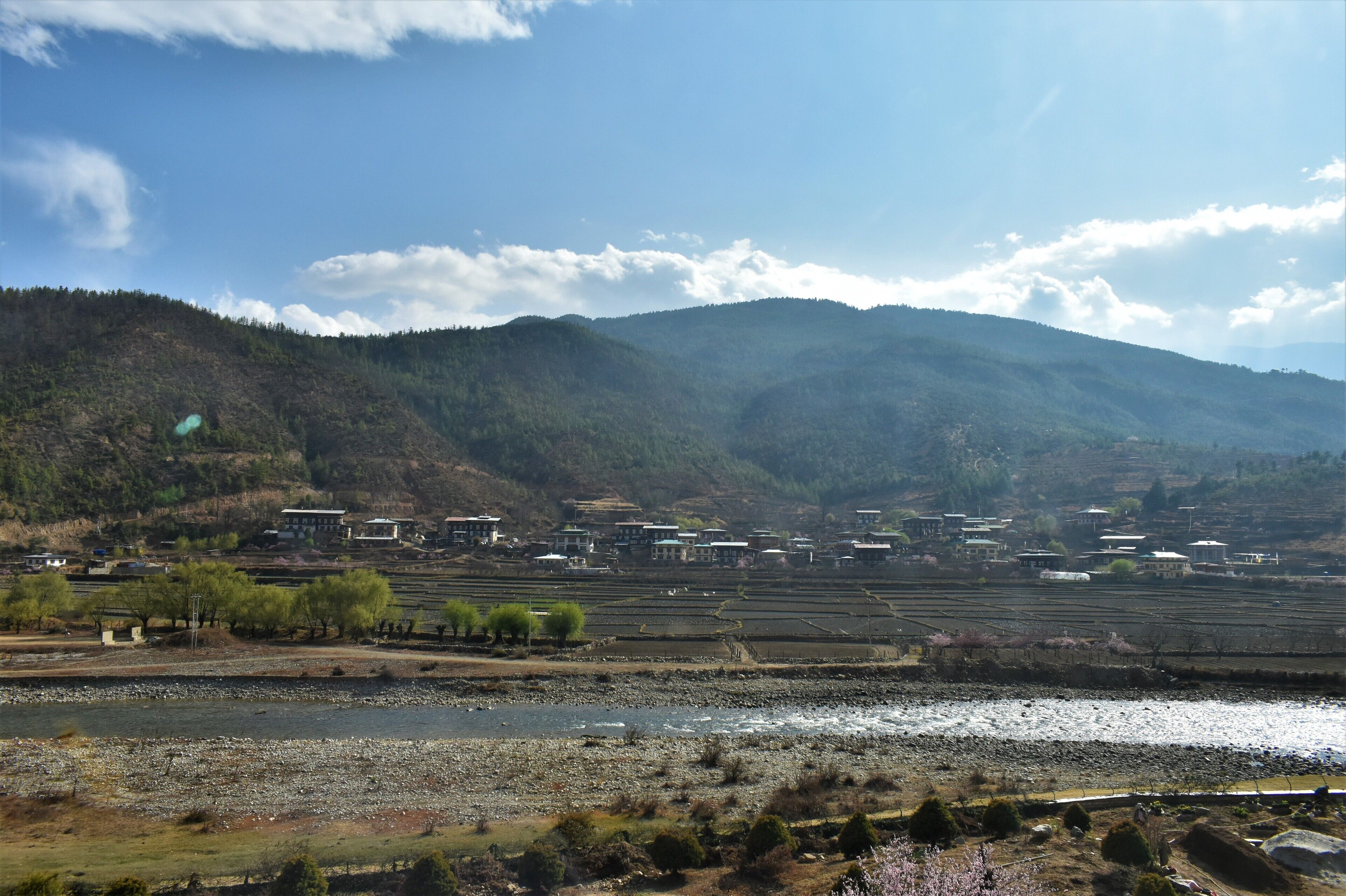 grand suite, 1 king bed with sofa bed, river view | 1 bedroom, minibar, in-room safe, individually furnished