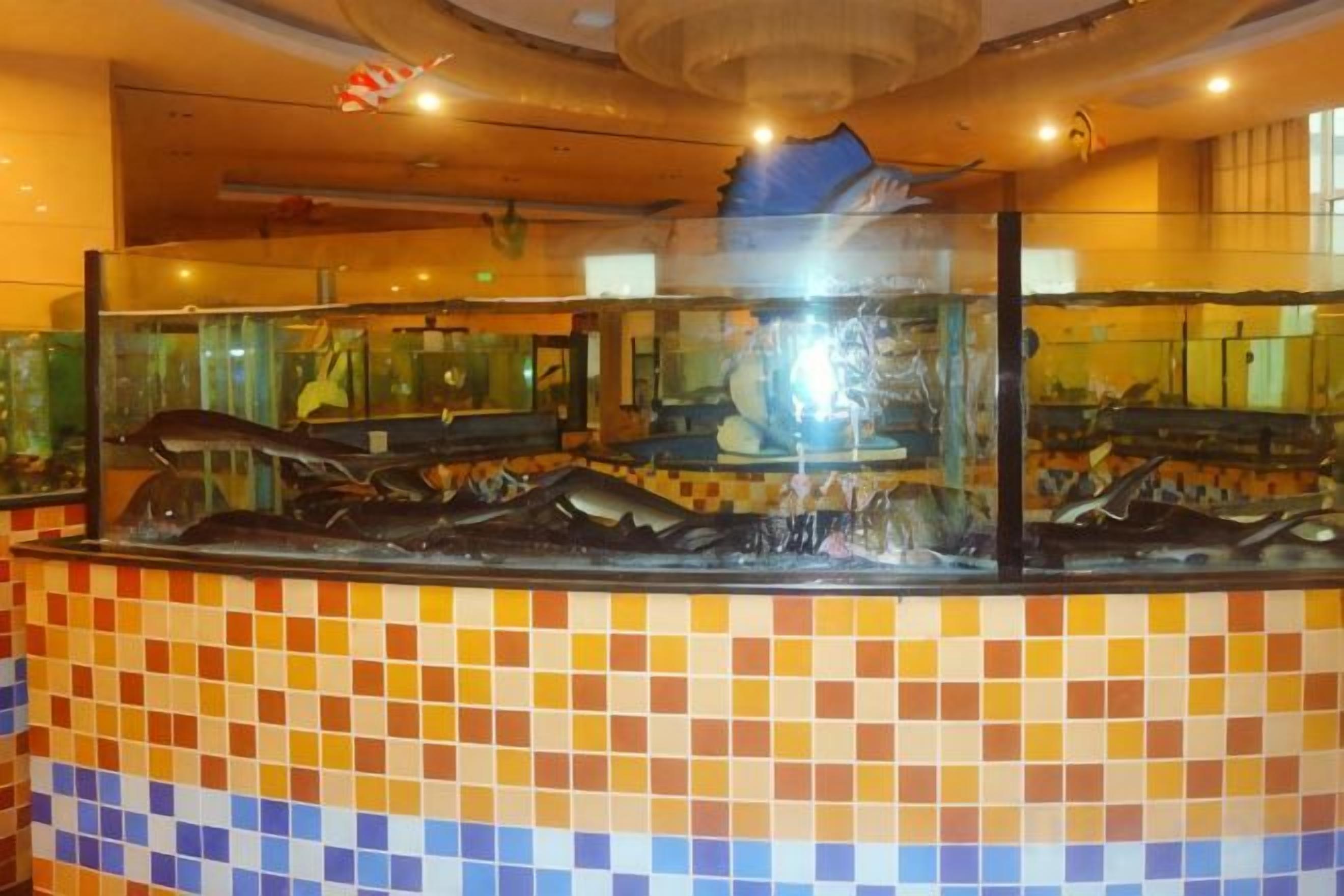 Ein Fischdisplay mit gefliestem Rückspritzschutz.