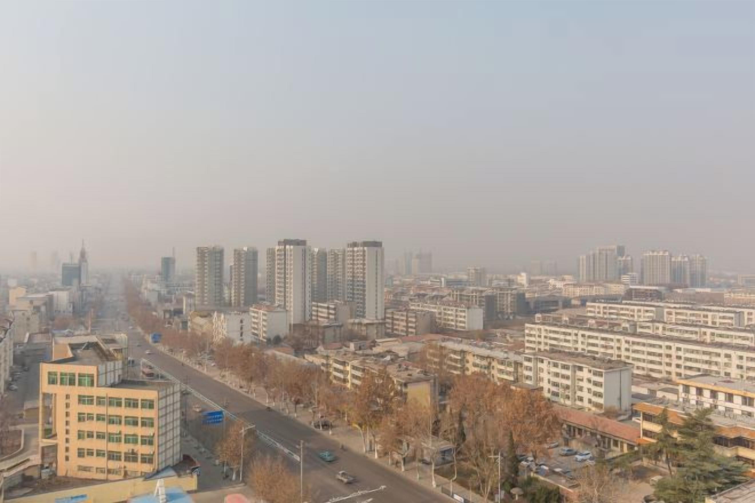A cityscape with high-rise buildings, a main road, and a few trees.