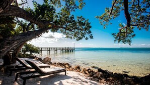 A beach with clear water, a wooden pier, and lounge chairs under a tree. - Playa Largo Resort & Spa, Autograph Collection (Key Largo)