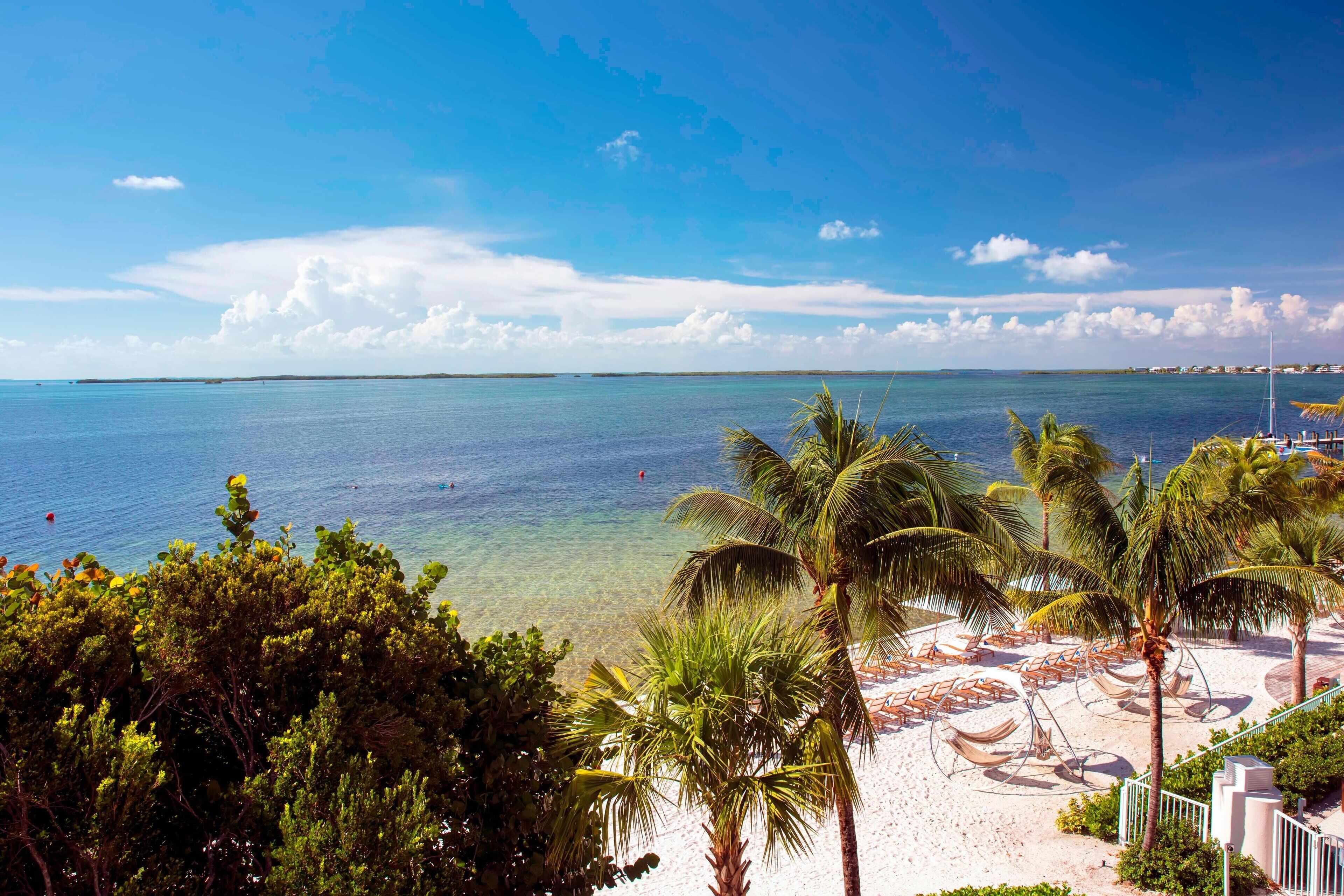 A beach with clear water, palm trees, and lounge chairs.