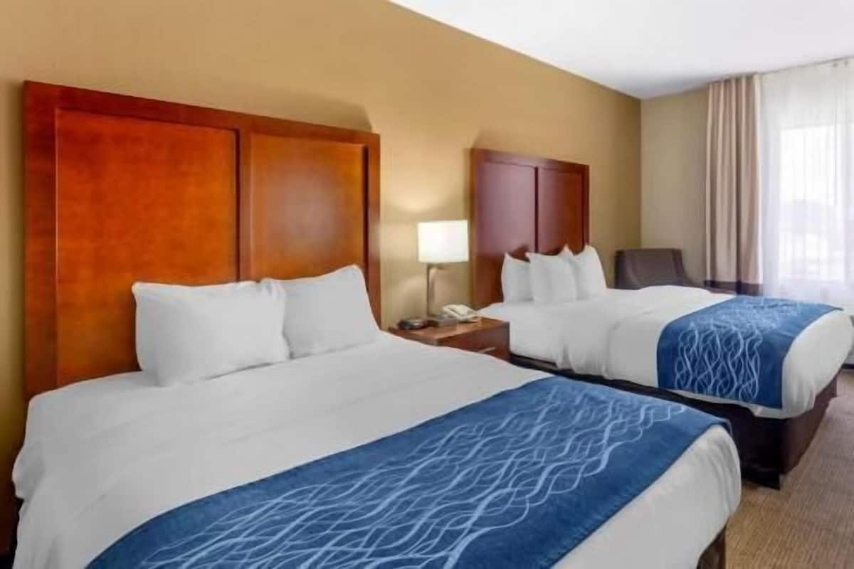 Premium bedding, down comforters, pillowtop beds, in-room safe