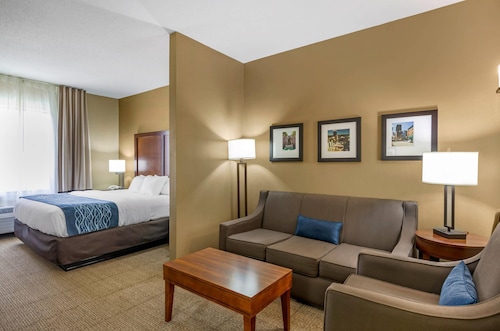 Comfort Inn & Suites Lynchburg Airport - University Area