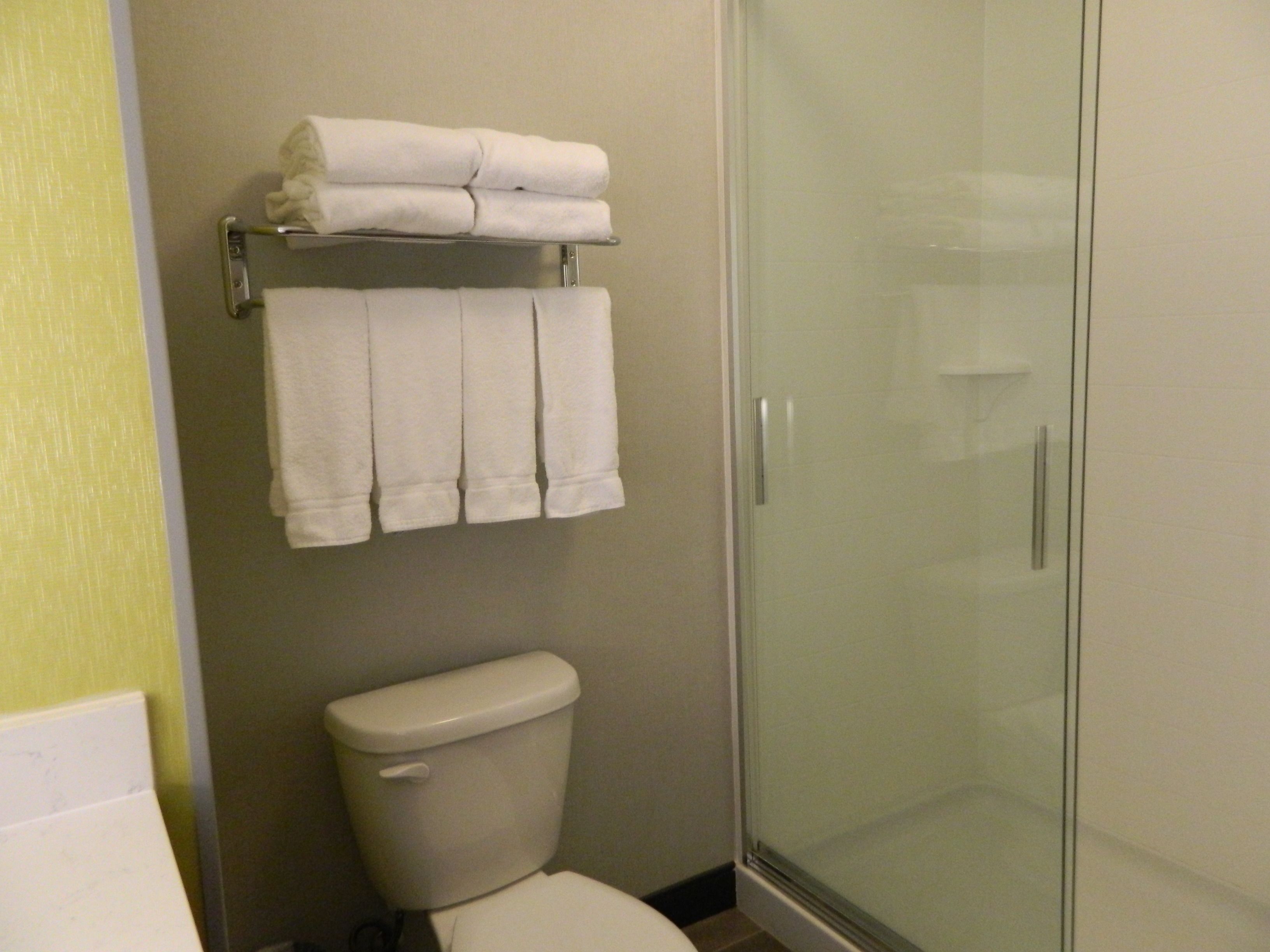 A bathroom with a toilet, a glass shower enclosure, and a towel rack with folded towels.