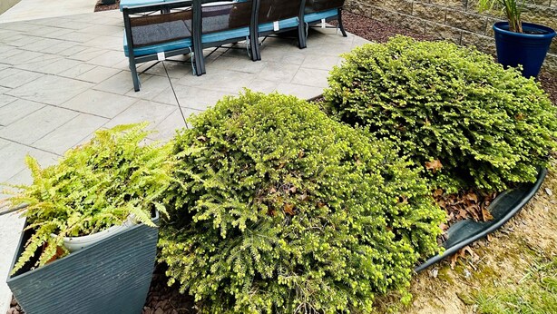 Een terras buiten, met een stenen muur, een hek en plantenbakken.