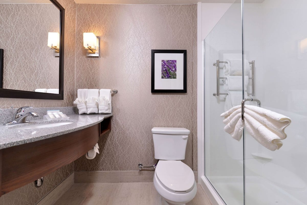 Bathroom | Combined shower/tub, free toiletries, towels