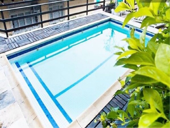 Outdoor pool, pool umbrellas, pool loungers