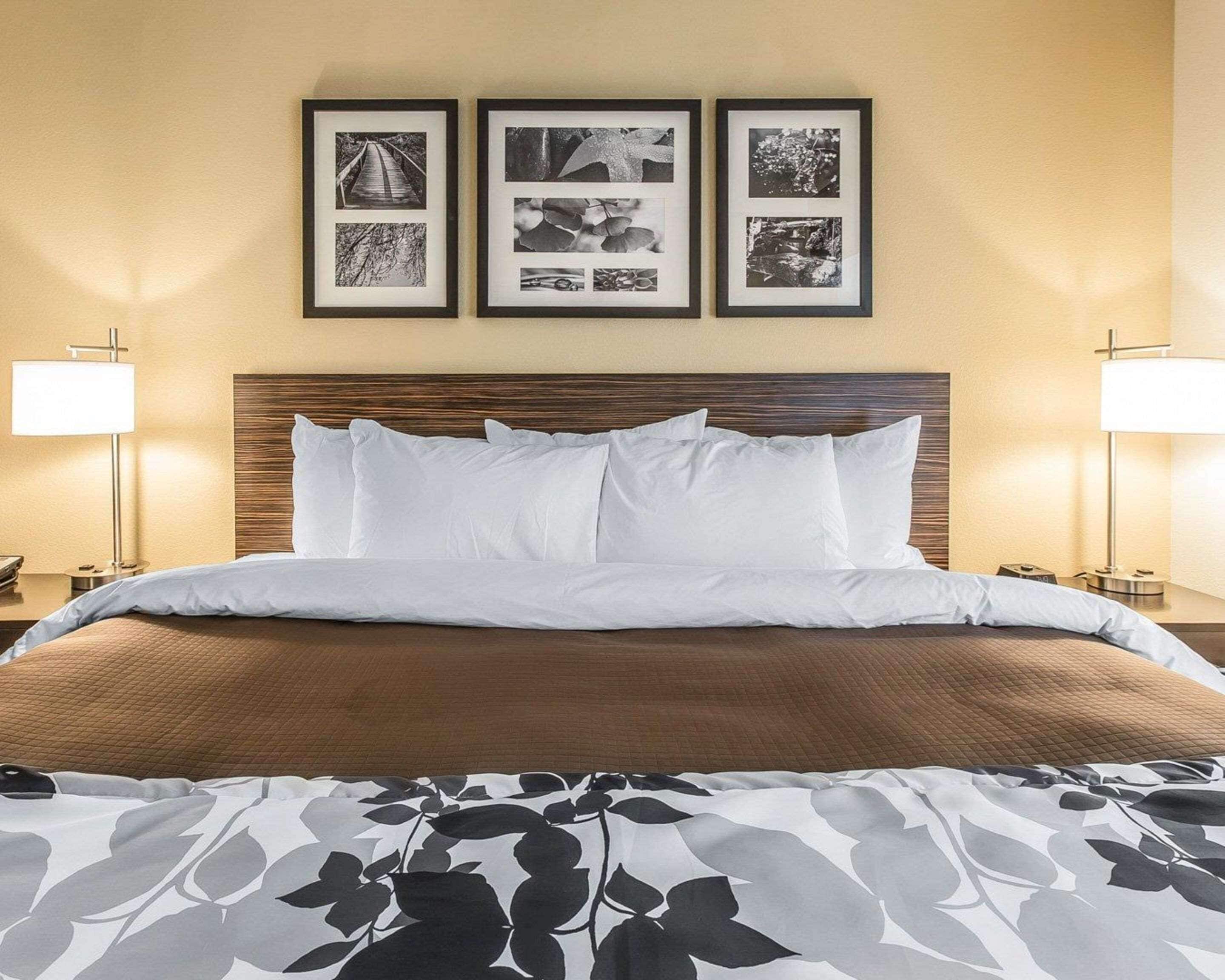 standard room, 1 king bed, non smoking | premium bedding, desk, blackout curtains, iron/ironing board