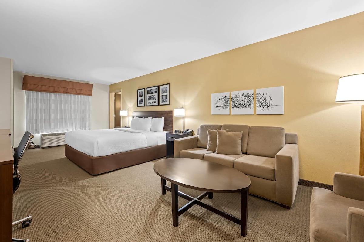 Une chambre d’hôtel comprenant un lit, un canapé, une table basse, un bureau et une chaise. Des lampes murales et des tableaux encadrés ornent les murs.