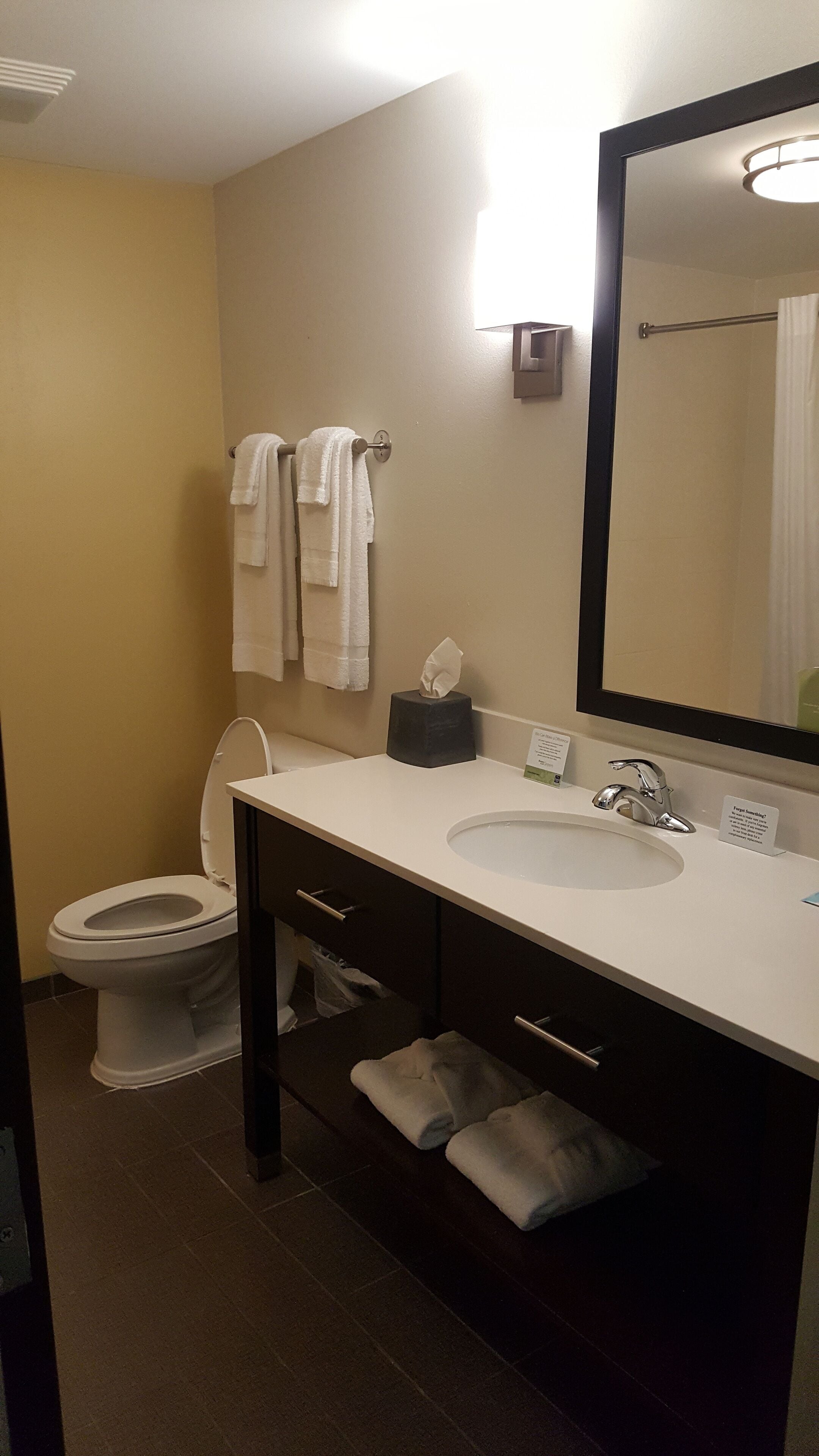 combined shower/bathtub, free toiletries, hair dryer, towels