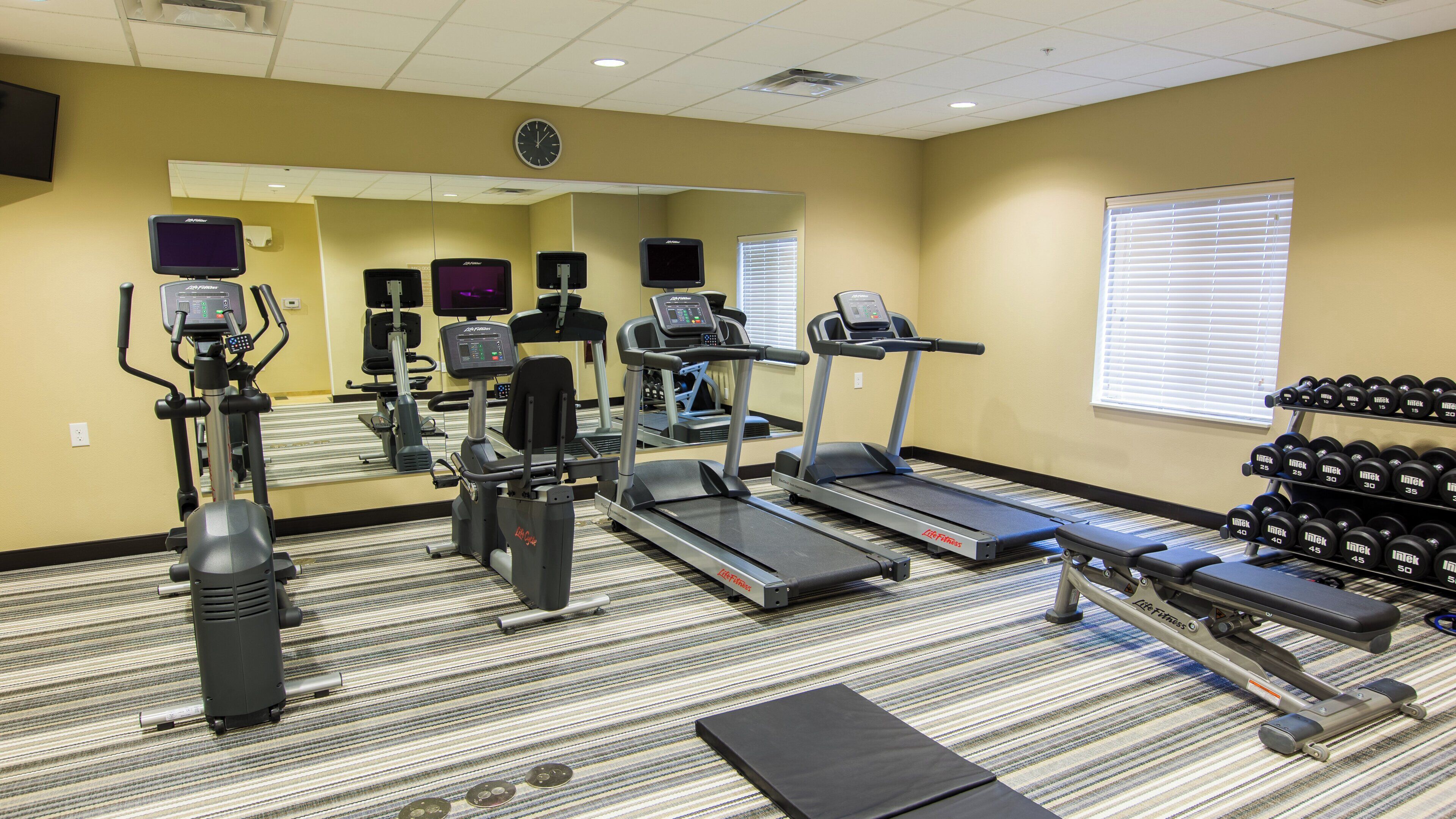 A gym with treadmills, elliptical machines, and dumbbells.