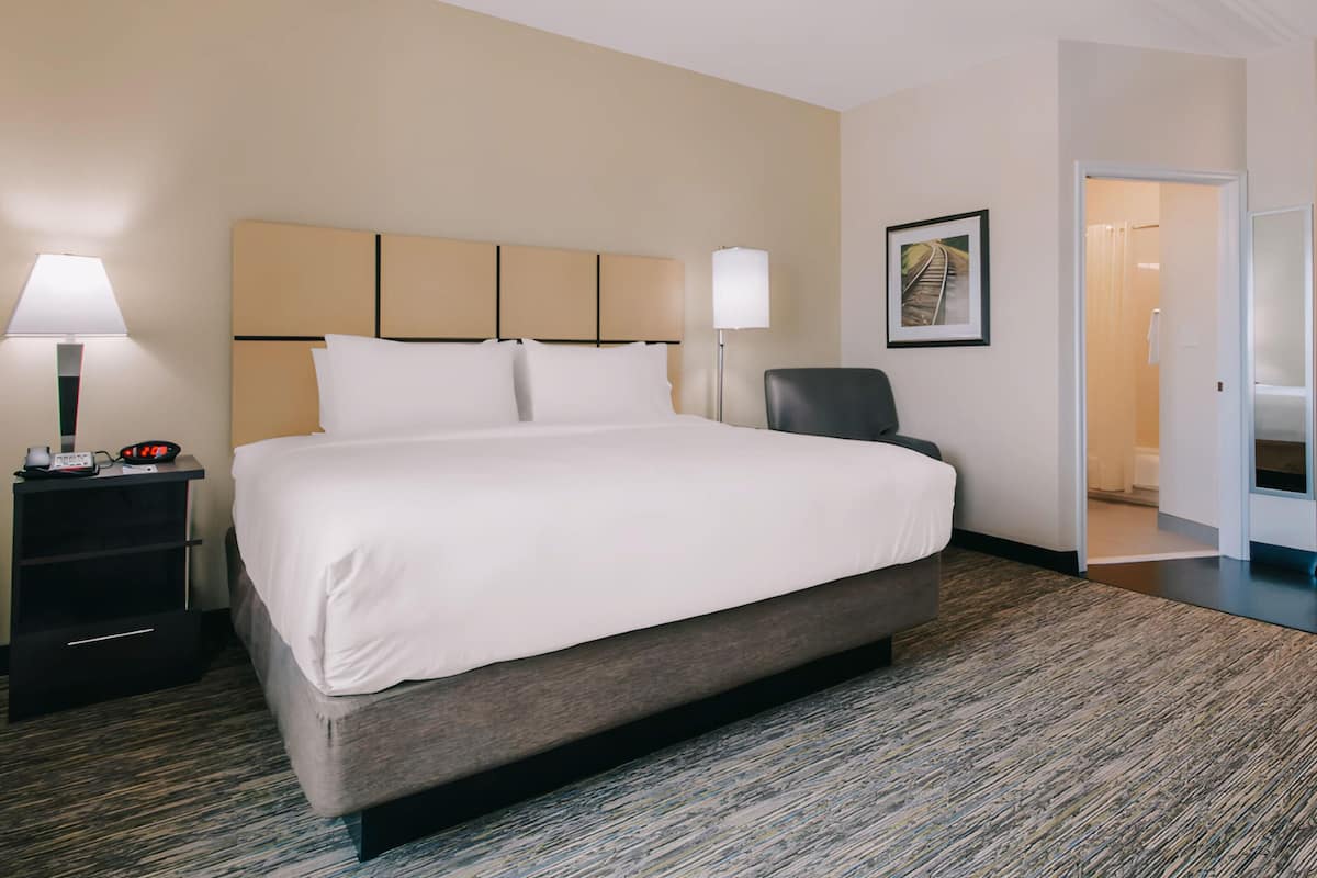 Une chambre d’hôtel avec un grand lit, une table de chevet avec une lampe, une chaise et un tableau encadré au mur.