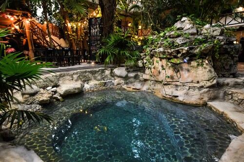 Hostal MX 5th Avenue - Hostel