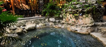 Hostal MX 5th Avenue - Hostel