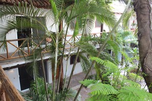 Terrain de l’hébergement 