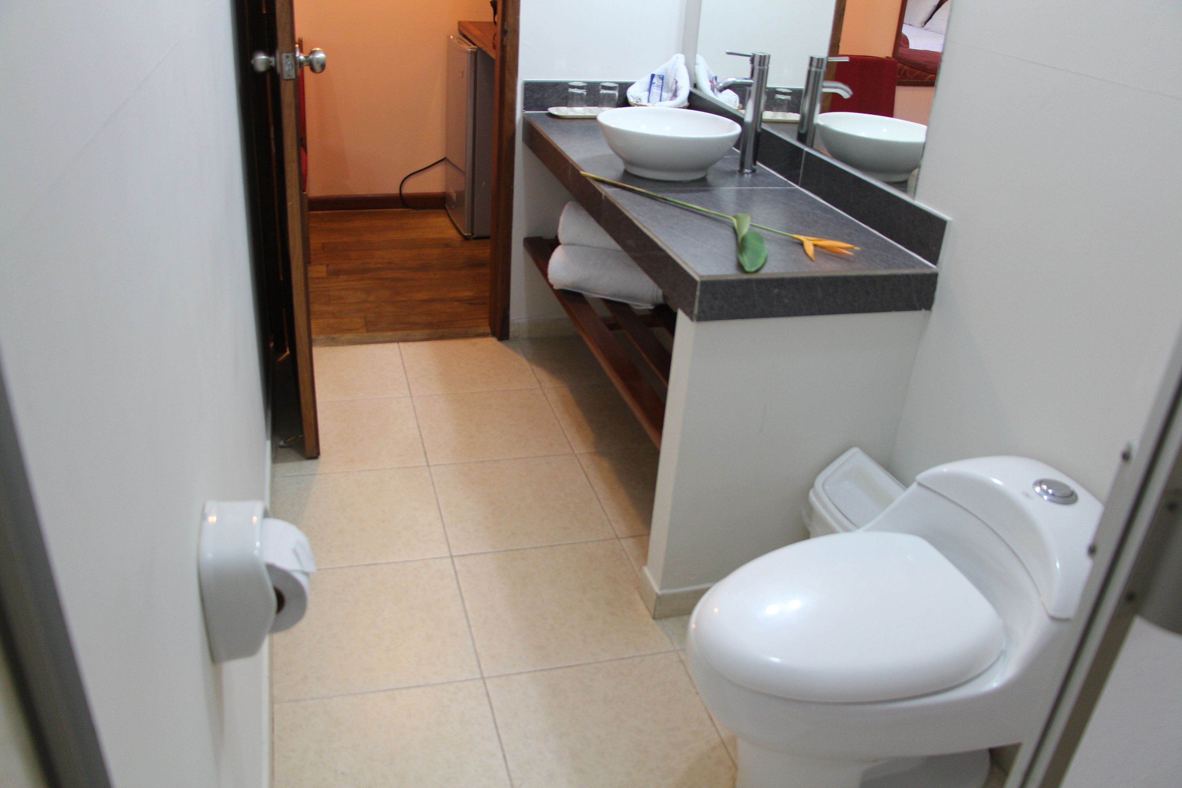 double room | bathroom | combined shower/bathtub, free toiletries, towels