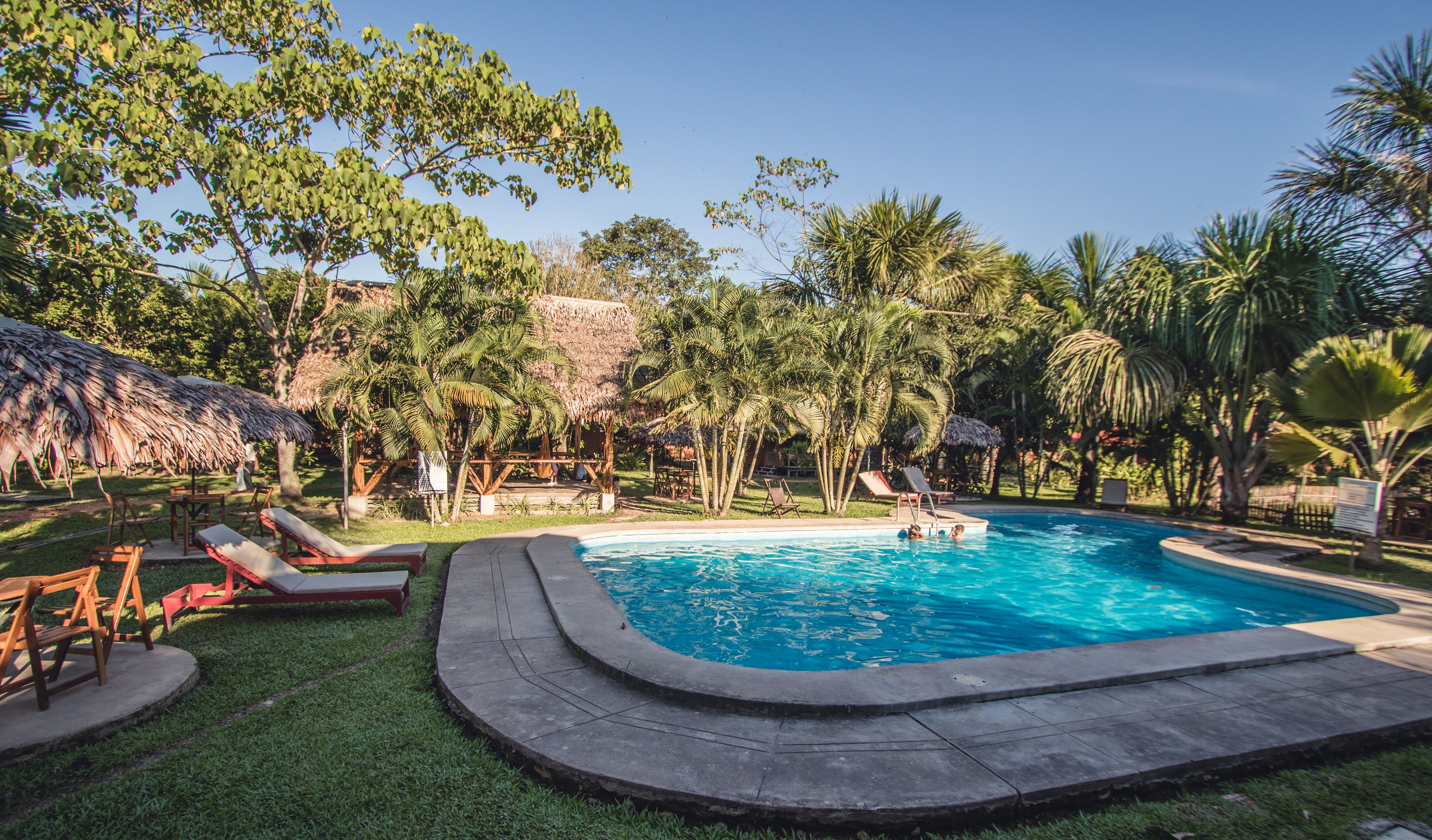 A swimming pool surrounded by grass, palm trees, and lounge chairs.