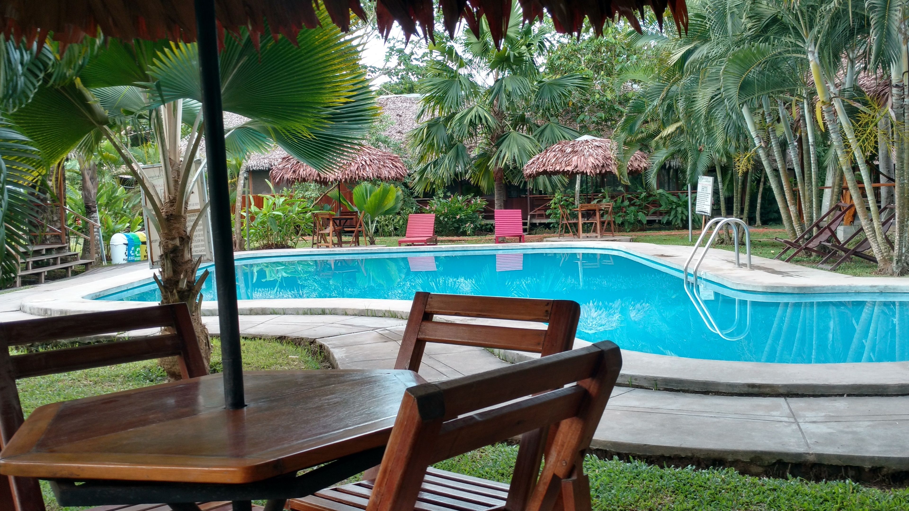 outdoor pool, pool loungers