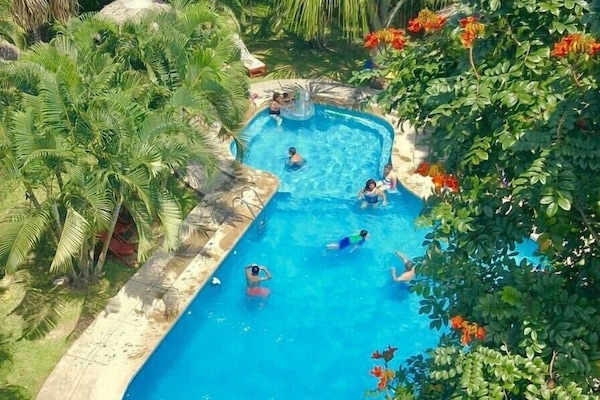 Outdoor pool, pool loungers