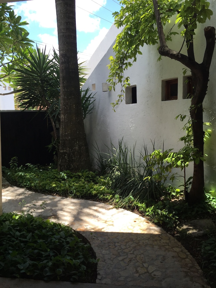 Mi Casa en Cozumel photo 3