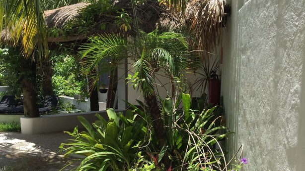 A courtyard with potted plants, a thatched roof structure, and a white wall. - Mi Casa en Cozumel (Cozumel)