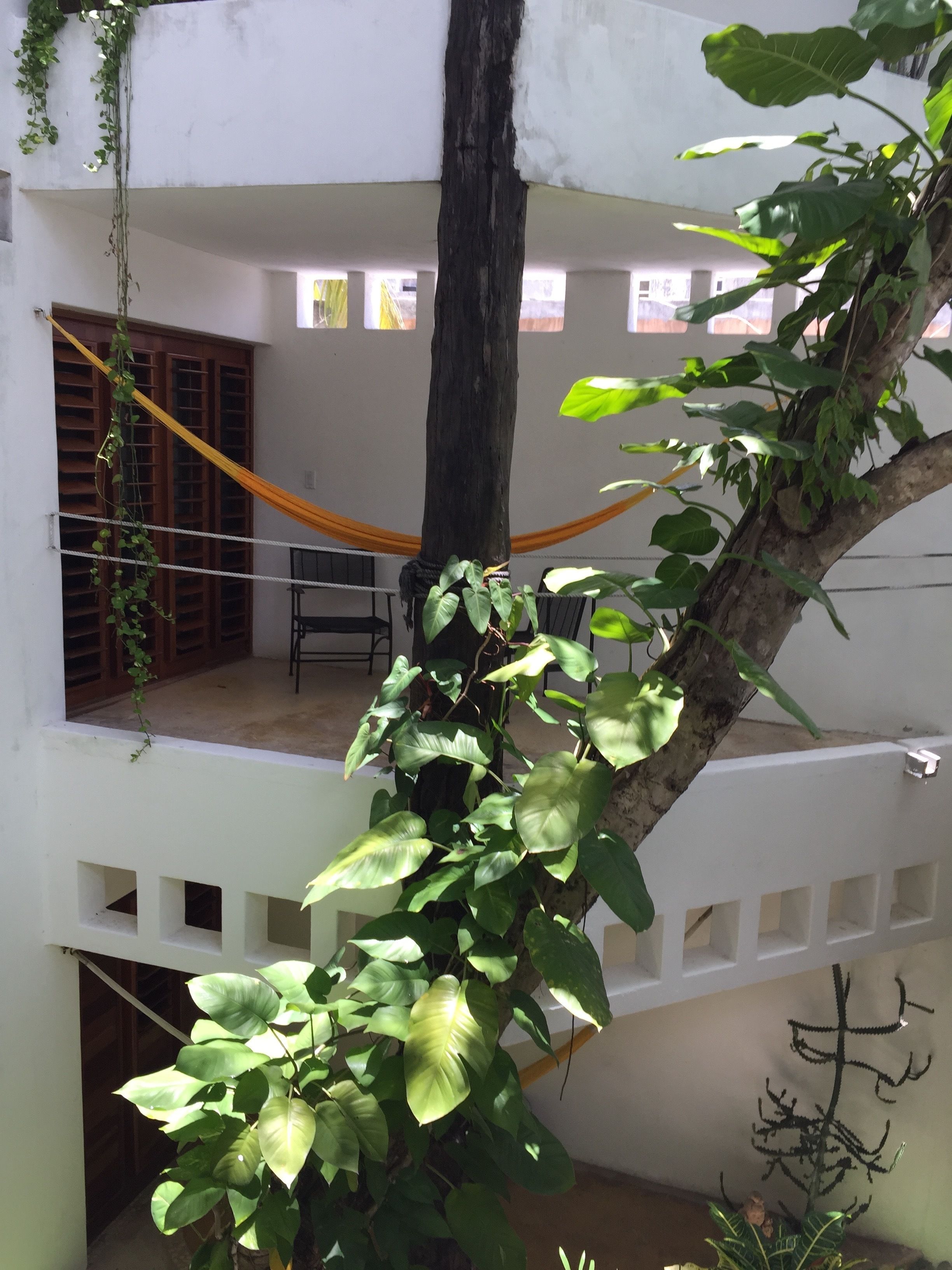 Foto - Mi Casa en Cozumel