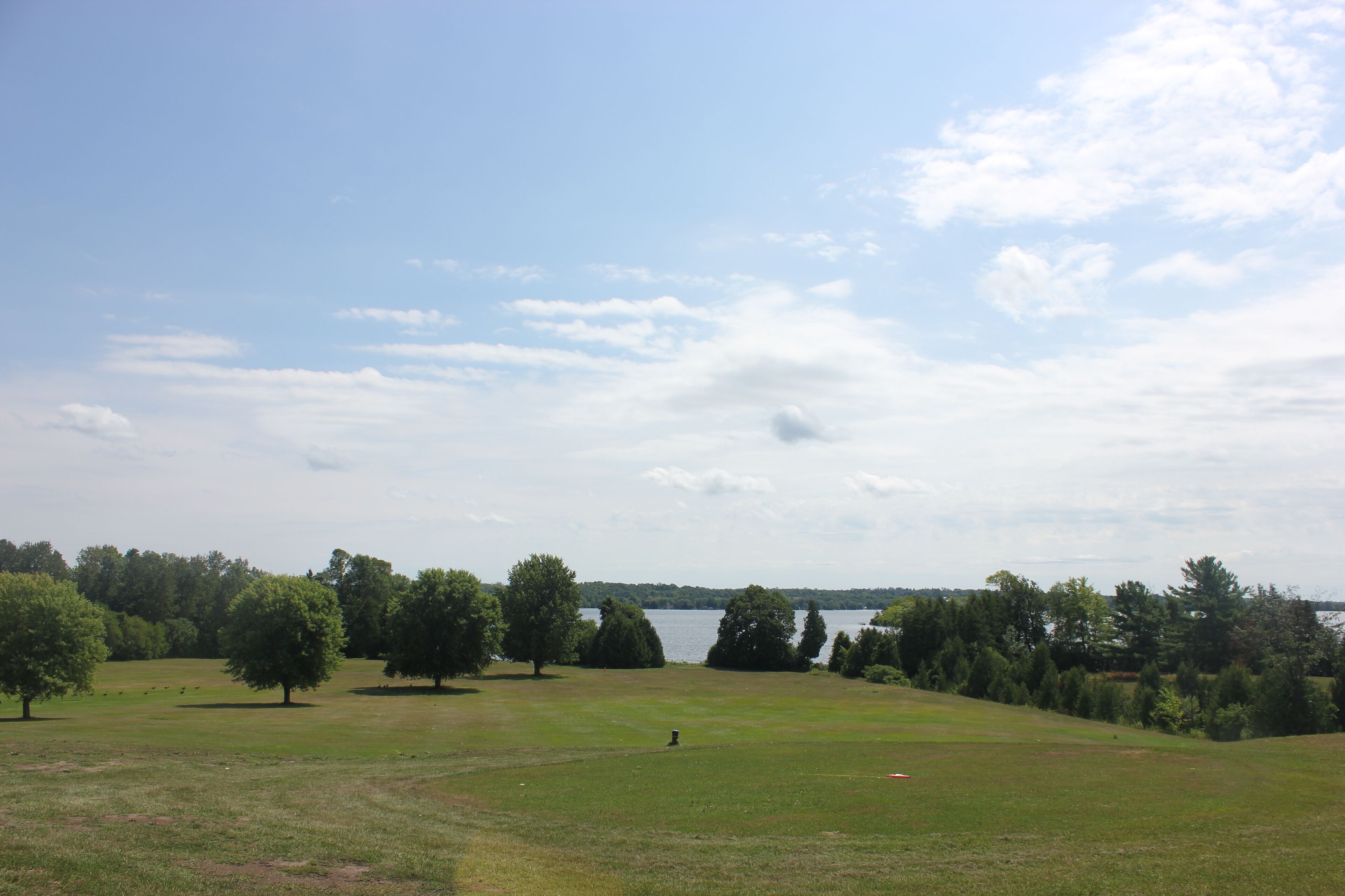 A grassy field with trees and a body of water in the distance.