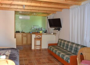 Studio, Mountain View | Living area | Flat-screen TV, fireplace