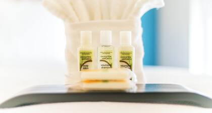 Holiday Inn & Suites Chattanooga Downtown by IHG