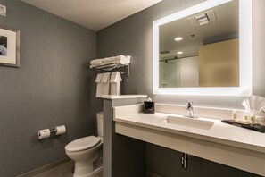 A modern bathroom with a toilet, a sink with a mirror, and a towel rack. - Holiday Inn & Suites Chattanooga Downtown by IHG (Chattanooga)